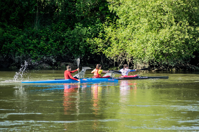 Avaliações doAssociação Canoagem de Cacia em Aveiro - Associação