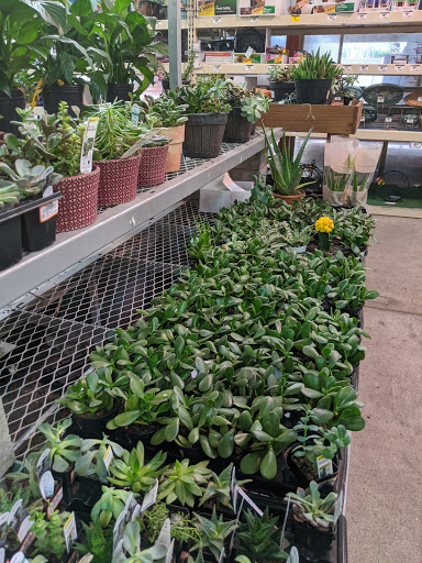 Home Improvement Store «The Home Depot», reviews and photos, 129 March Ave, Manchester, NH 03103, USA