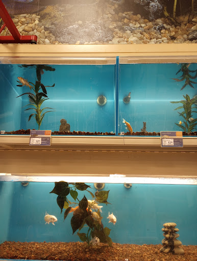 Pet Supply Store «PetSmart», reviews and photos, 5650 Mercury Dr, Dearborn, MI 48126, USA