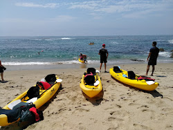 Fishermans Cove beach'in fotoğrafı dağlarla çevrili