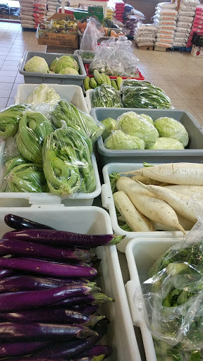 Asian Grocery Store «Asian Market», reviews and photos, 1711 Fort Henry Dr, Kingsport, TN 37664, USA