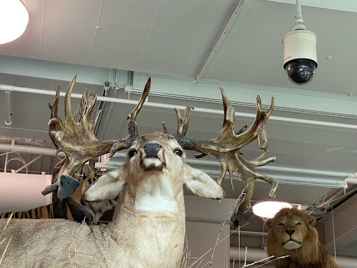 Sporting Goods Store «SCHEELS», reviews and photos, 6503 W 135th St, Overland Park, KS 66223, USA