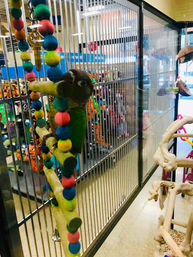 Pet Supply Store «PetSmart», reviews and photos, 24 Countryside Plaza, Countryside, IL 60525, USA