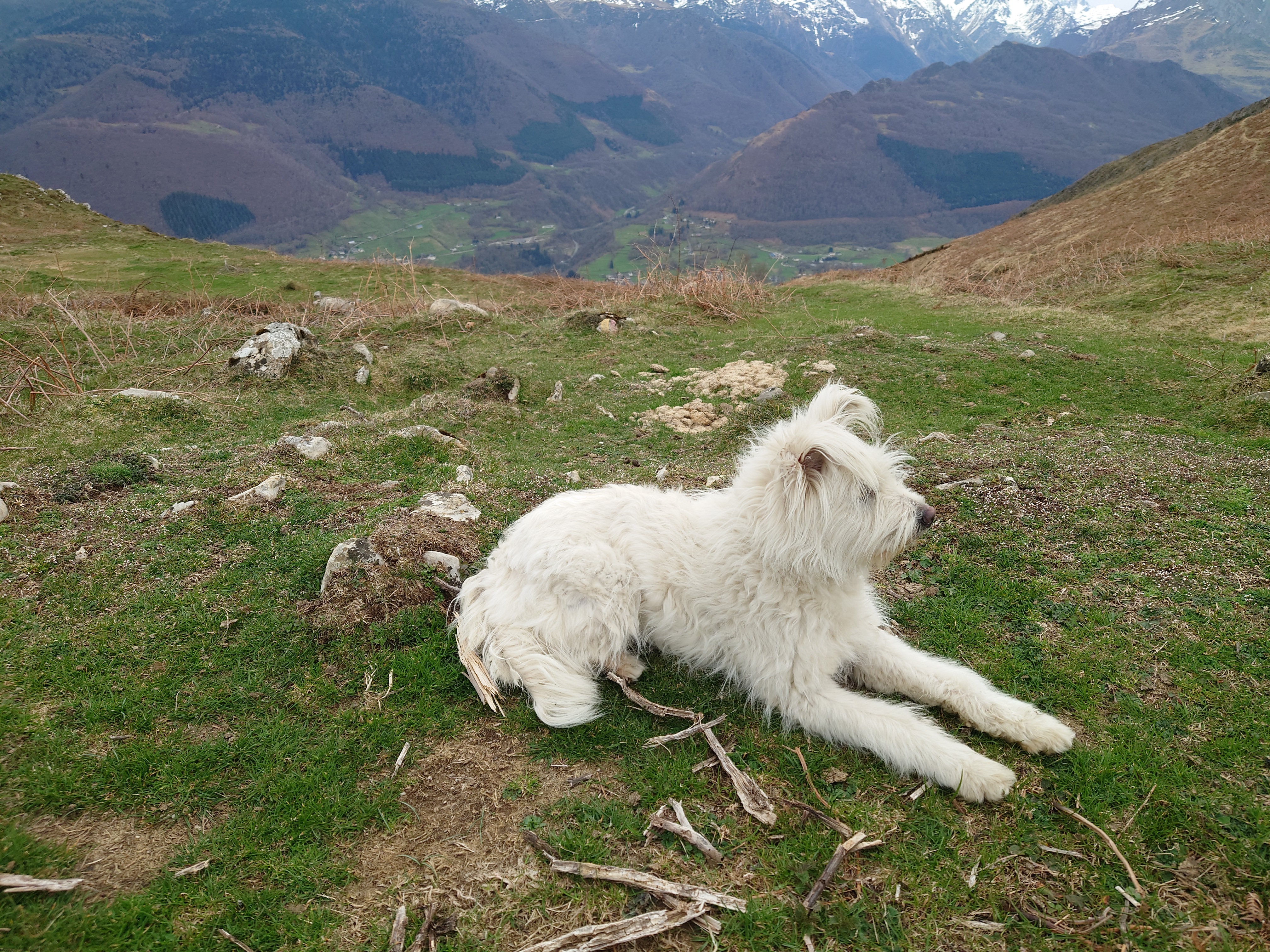 Photo n° 1 de l'avis de Bruno.a fait le 24/03/2023 à 16:10