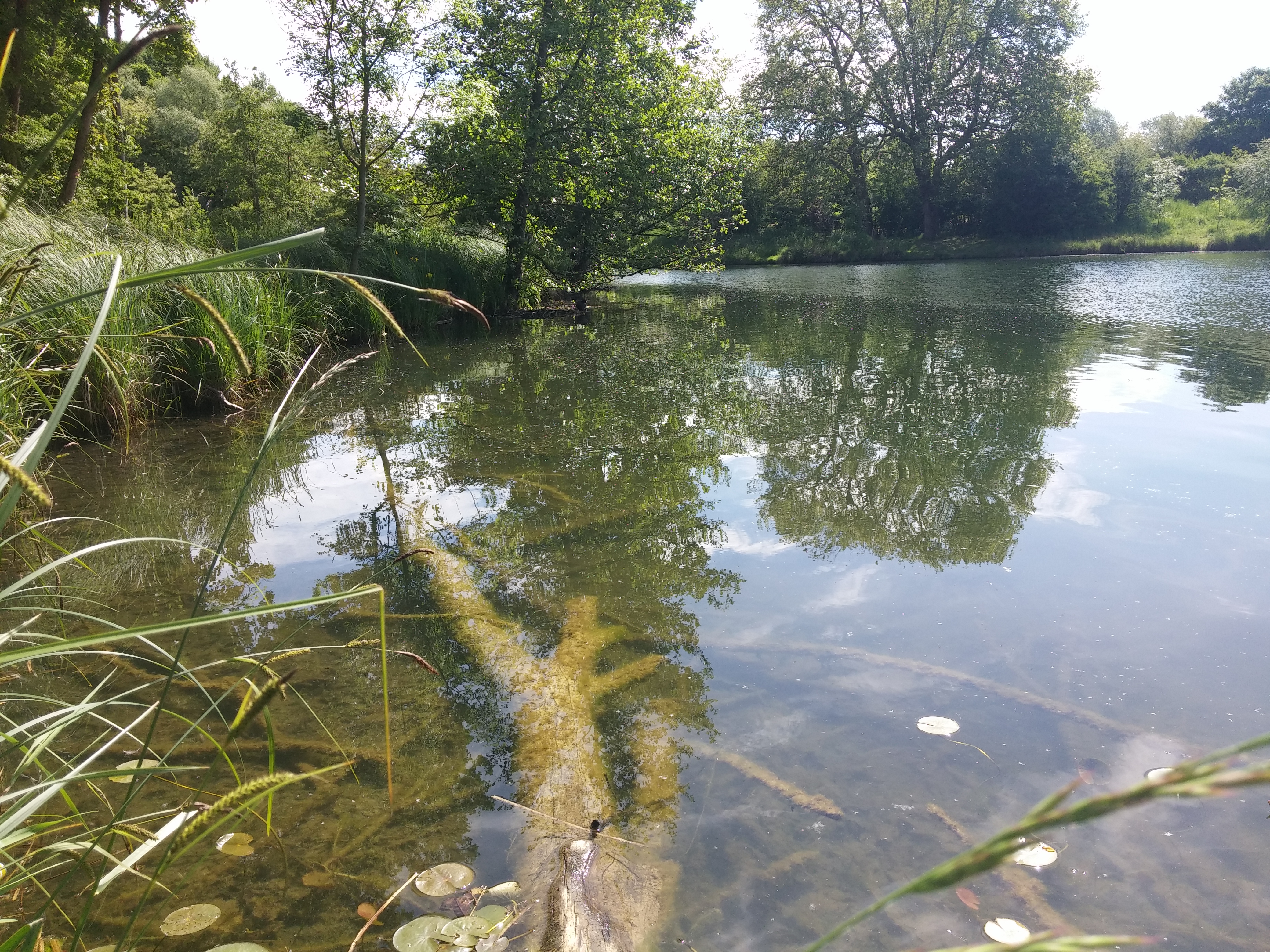 Photo n° 1 de l'avis de Denis.a fait le 03/06/2017 à 10:22
