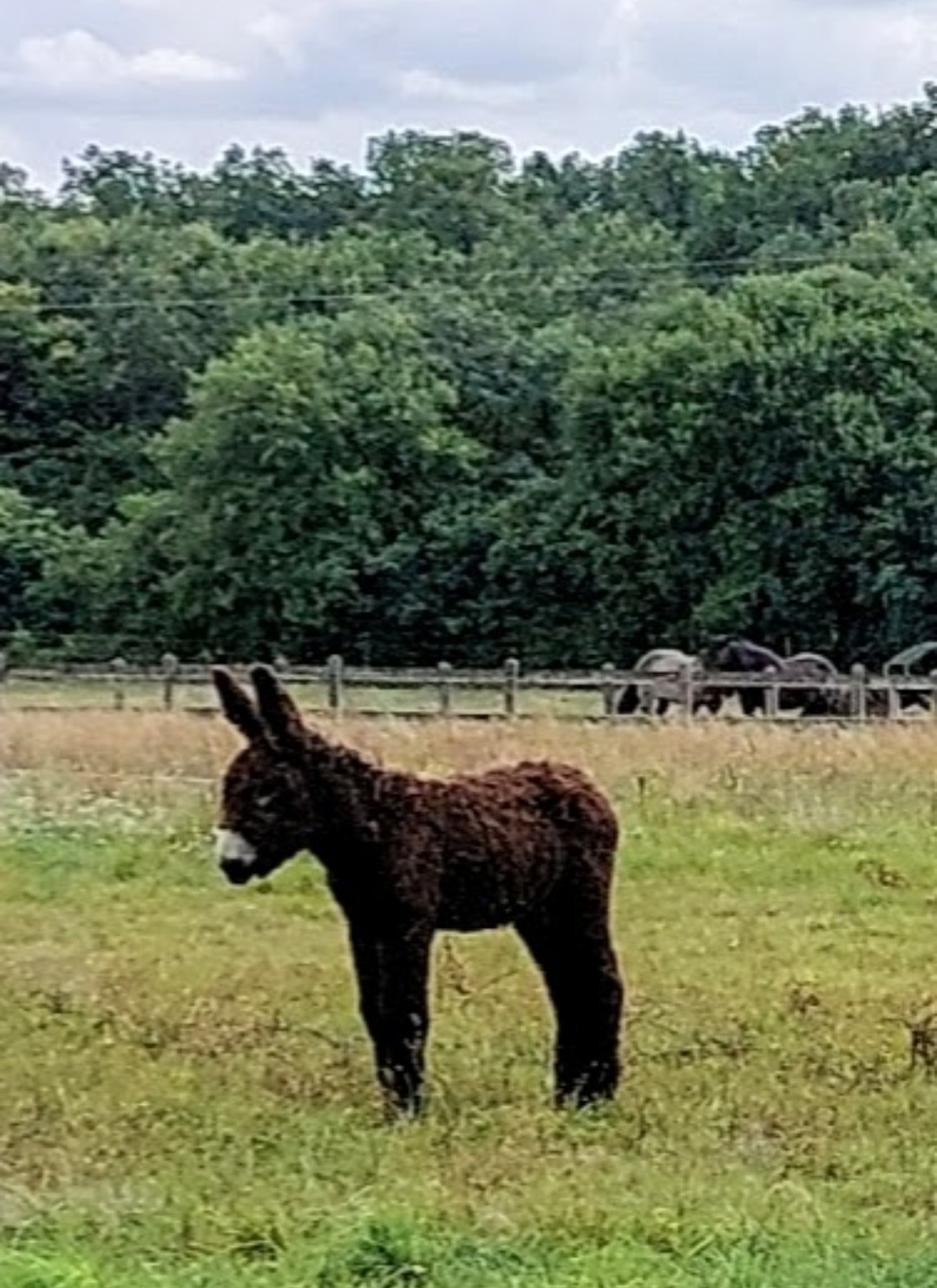Photo n° 6 de l'avis de Sylvie.A fait le 12/09/2021 à 14:54