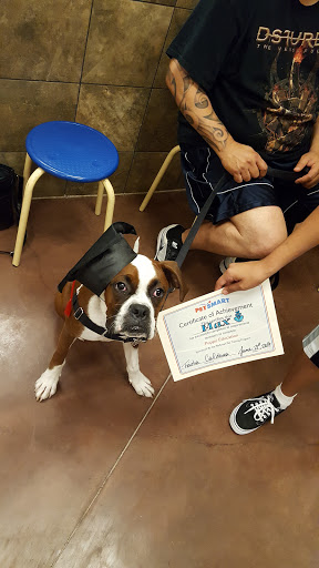 Pet Supply Store «PetSmart», reviews and photos, 7290 W Bell Rd, Glendale, AZ 85308, USA