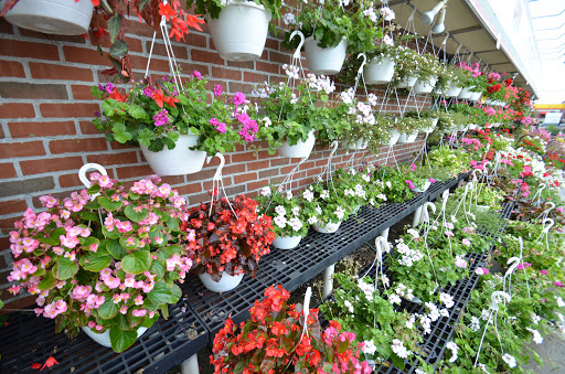 Florist «Flowerama Florist: Westerville», reviews and photos, 635 S State St, Westerville, OH 43081, USA