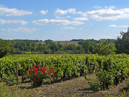 Vente Exploitation à Mansle