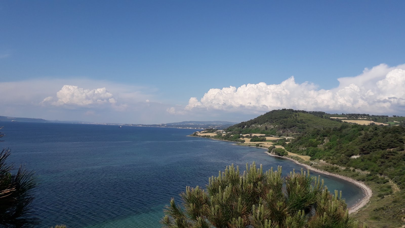 Fotografie cu Halileli beach cu o suprafață de nisip strălucitor și pietre