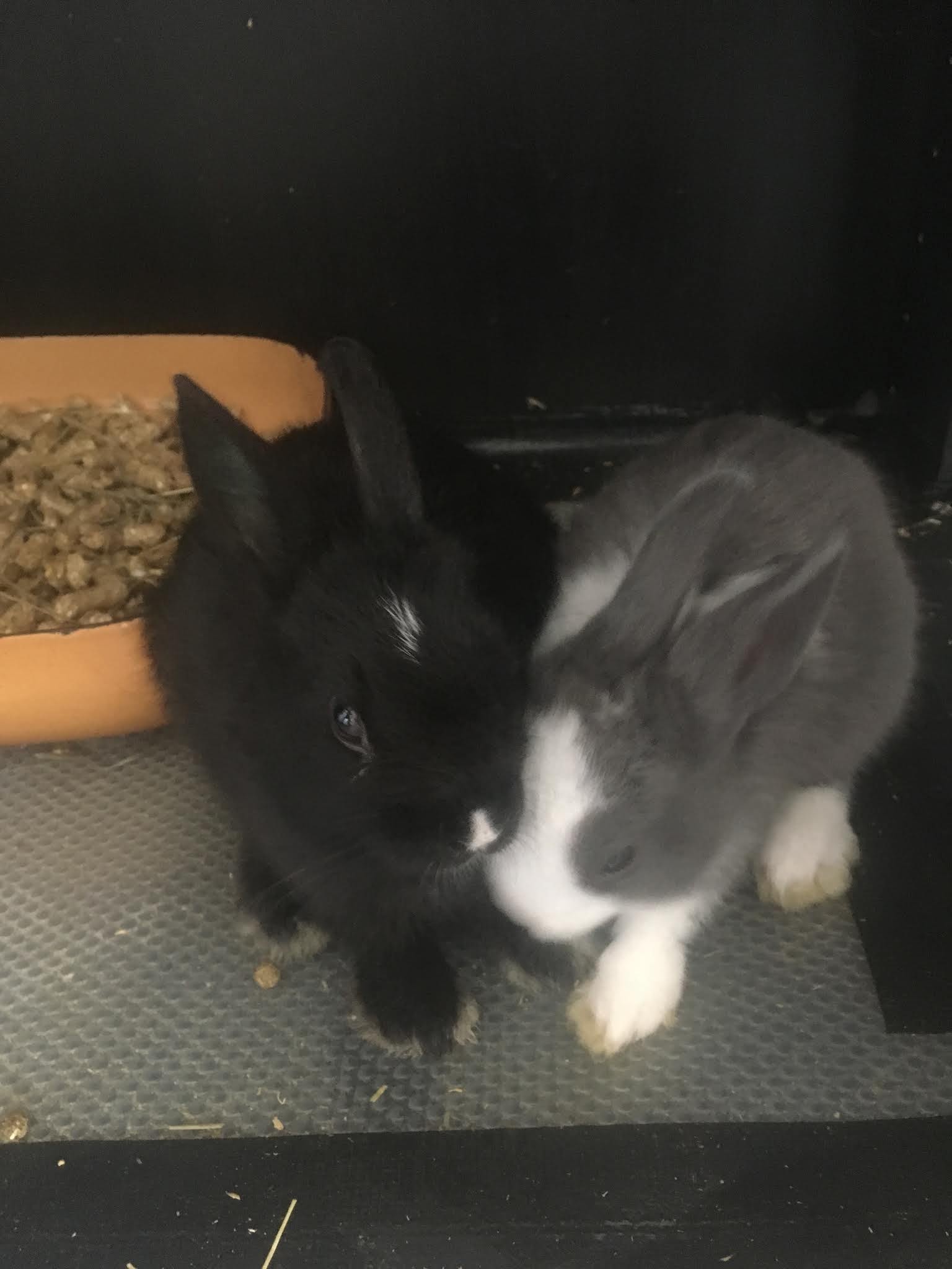 Photo n° 2 de l'avis de Axelle.u fait le 07/09/2019 à 14:21