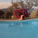 Photo n°2 de l'avis de Lorenzo.o fait le 27/08/2020 à 19:48 sur le  Agricampeggio Cipollatico à Montespertoli