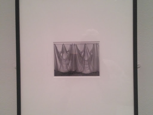 Art Museum «Hood Museum of Art», reviews and photos, 6 E Wheelock St, Hanover, NH 03755, USA