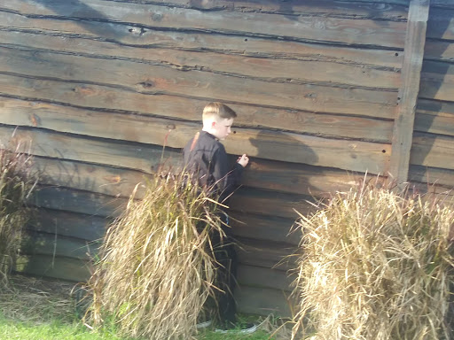 Wedding Venue «Florida Rustic Barn Weddings - Prairie Glenn», reviews and photos, 1201 Swilley Rd, Plant City, FL 33567, USA