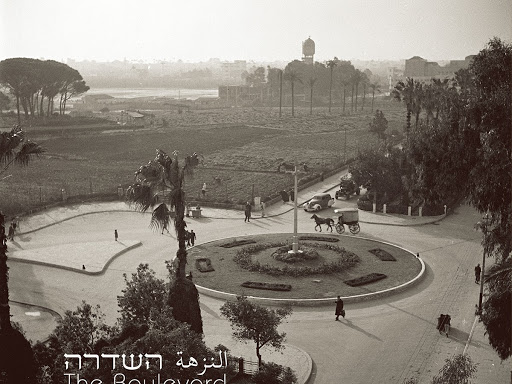 ורד נבון - סטודיו לעיצוב גרפי, צילום ומיתוג