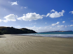 Zdjęcie Tawhitokino Beach z poziomem czystości wysoki
