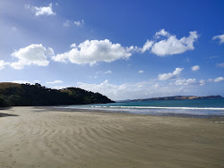 Tawhitokino Beach'in fotoğrafı vahşi alan