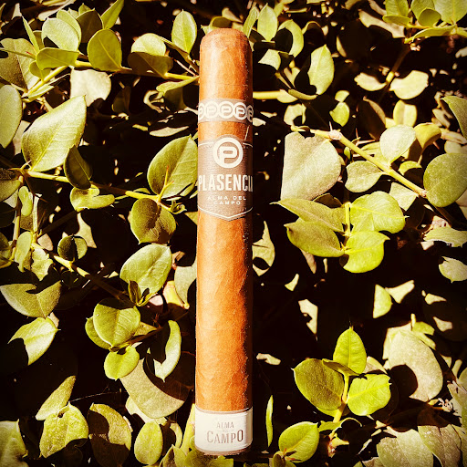 Tobacco Shop «Cigar House & Discount», reviews and photos, 1720 N Moorpark Rd, Thousand Oaks, CA 91360, USA