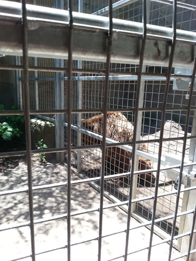 Zoo «John Ball Zoo», reviews and photos, 1300 West Fulton Street, Grand Rapids, MI 49504, USA