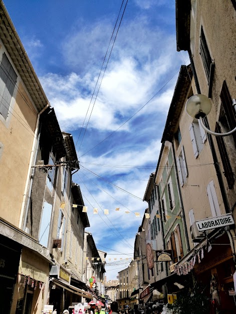 Sci les Arts à Vaison-la-Romaine