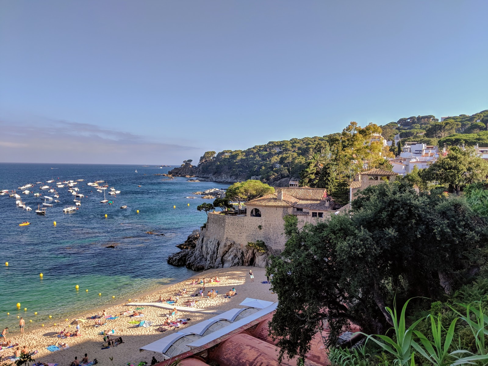 Photo de Platja Port Pelegri avec petite baie