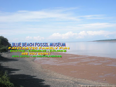 Blue Beach Fossil Museum