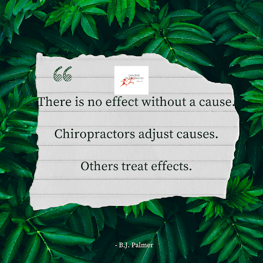Lander Chiropractic image