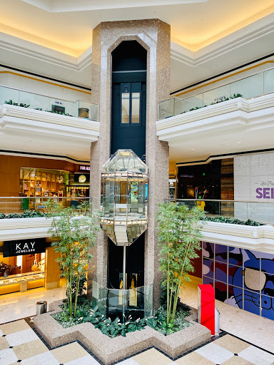 Computer Store «Apple MacArthur Center», reviews and photos, 300 Monticello Ave, Norfolk, VA 23510, USA