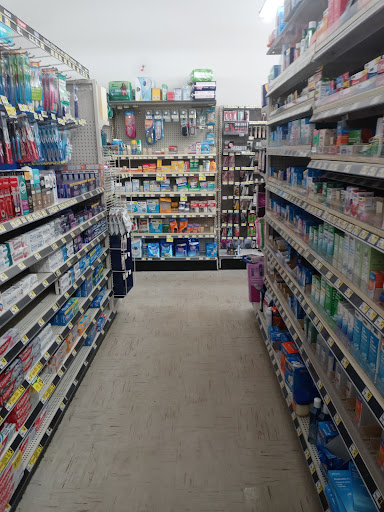 Discount Store «Dollar General», reviews and photos, 18451 US-41, Lutz, FL 33549, USA