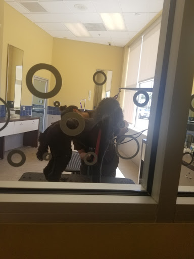 Pet Supply Store «Petco Animal Supplies», reviews and photos, 317 E Trenton Rd, Edinburg, TX 78539, USA