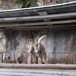 Photo n°4 de l'avis de Tully.u fait le 08/08/2021 à 21:41 sur le  Agriturismo cascina Lert à Marone