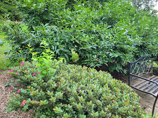 Golf Course «Pohick Bay Golf Course», reviews and photos, 10301 Gunston Road, Lorton, VA 22079, USA