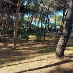 Photo n°10 de l'avis de Gioia.a fait le 04/06/2021 à 18:48 sur le  C.S.A. Hotel-Beach-Park à Marina di Bibbona