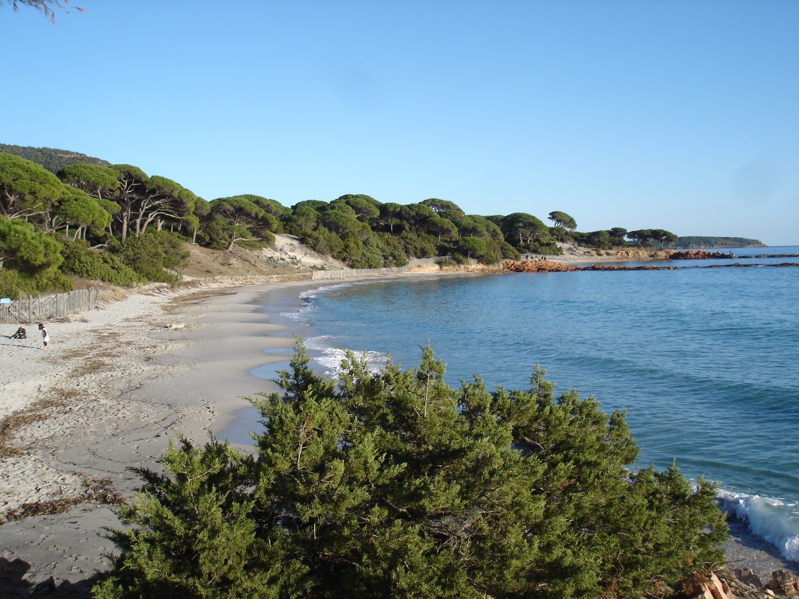 Plaj de Palombaggia'in fotoğrafı çok temiz temizlik seviyesi ile