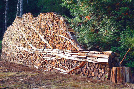 Kosich Firewood & Tree Service