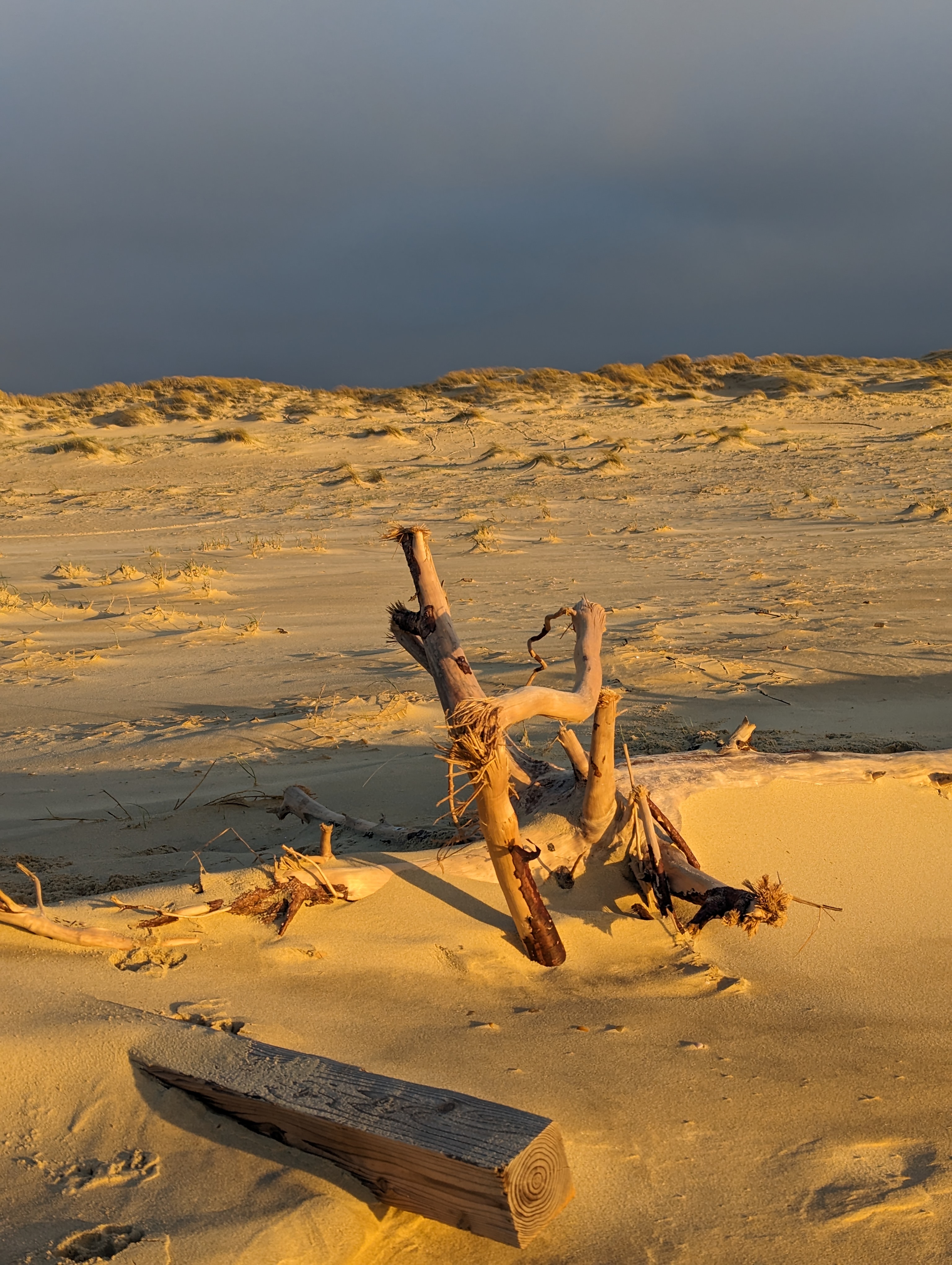 Photo n° 14 de l'avis de christophe.r fait le 30/12/2023 à 16:37