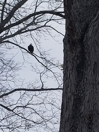 Battle Site «Fort Donelson National Battlefield», reviews and photos, 120 Lock D Rd, Dover, TN 37058, USA