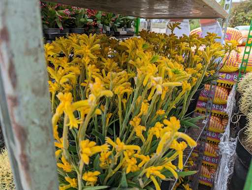 Home Improvement Store «The Home Depot», reviews and photos, 702 65th St, Galveston, TX 77551, USA