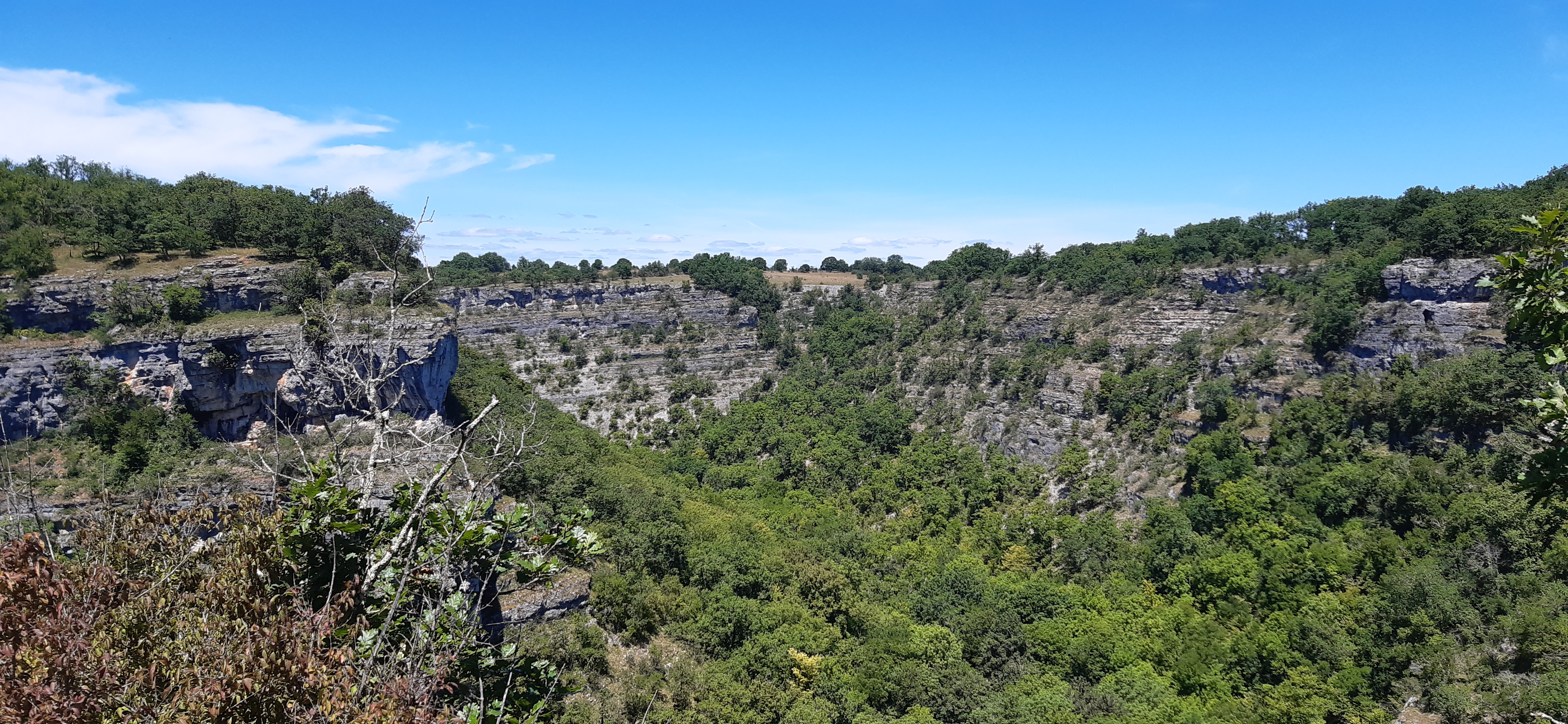 Photo n° 1 de l'avis de Ma. fait le 11/07/2020 à 13:09