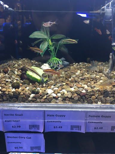 Fish Room