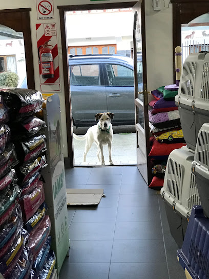 Puppy pet shop