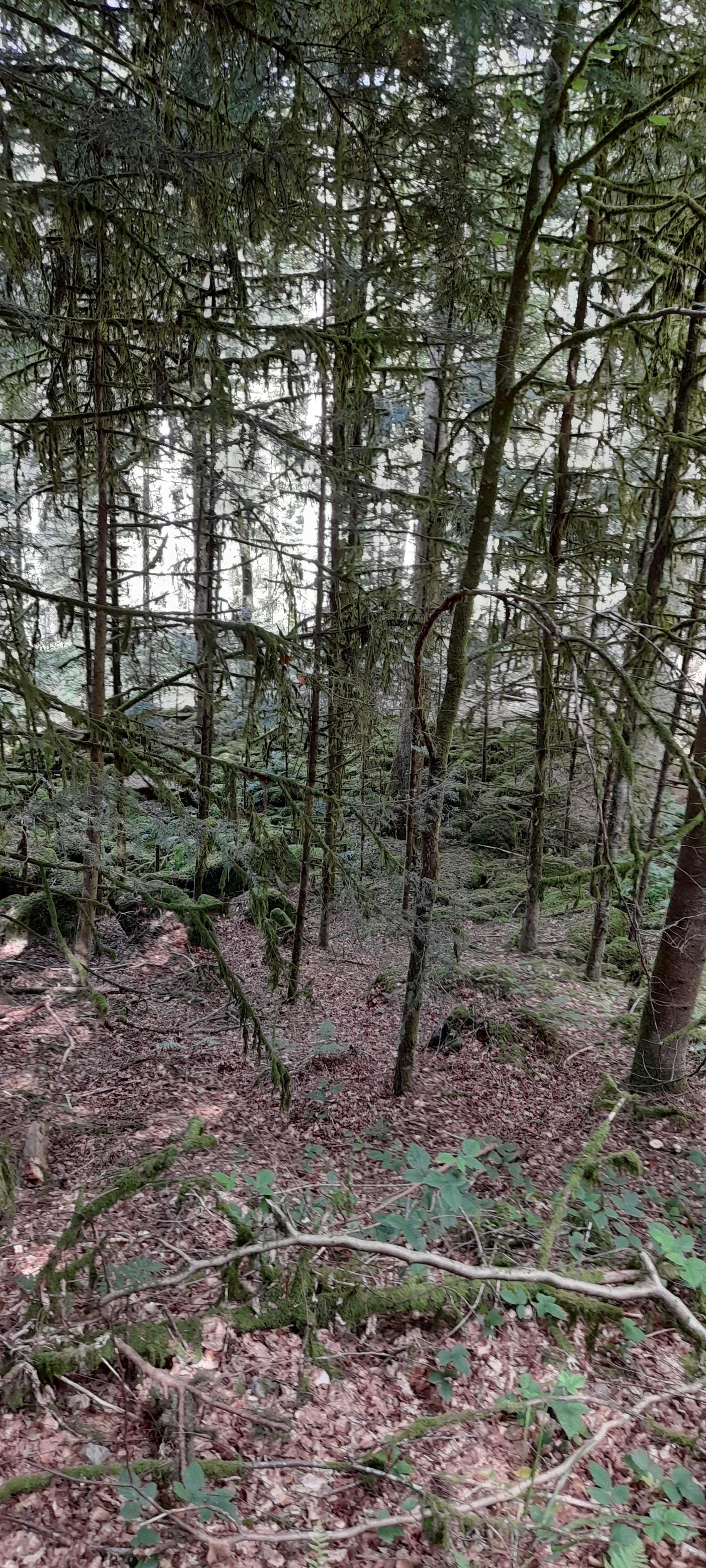 Photo n° 8 de l'avis de Philippe.e fait le 10/08/2021 à 15:47