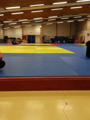 Cours de judo Lille