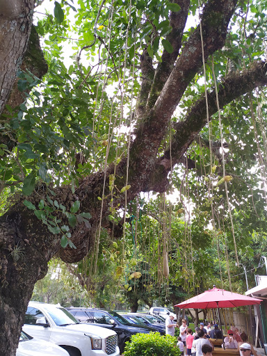 Produce Market «Wayside Fruit & Vegetable», reviews and photos, 10070 SW 57th Ave, Pinecrest, FL 33156, USA