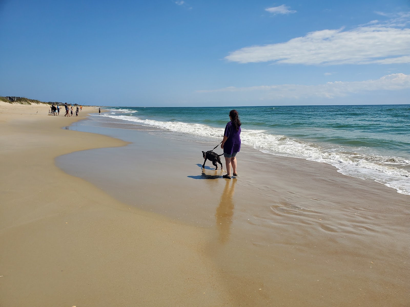 Fotografija Frisco beach z svetel pesek površino