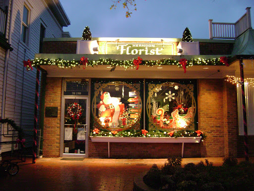 Florist «Herndon Florist, Inc.», reviews and photos, 716 Lynn St, Herndon, VA 20170, USA