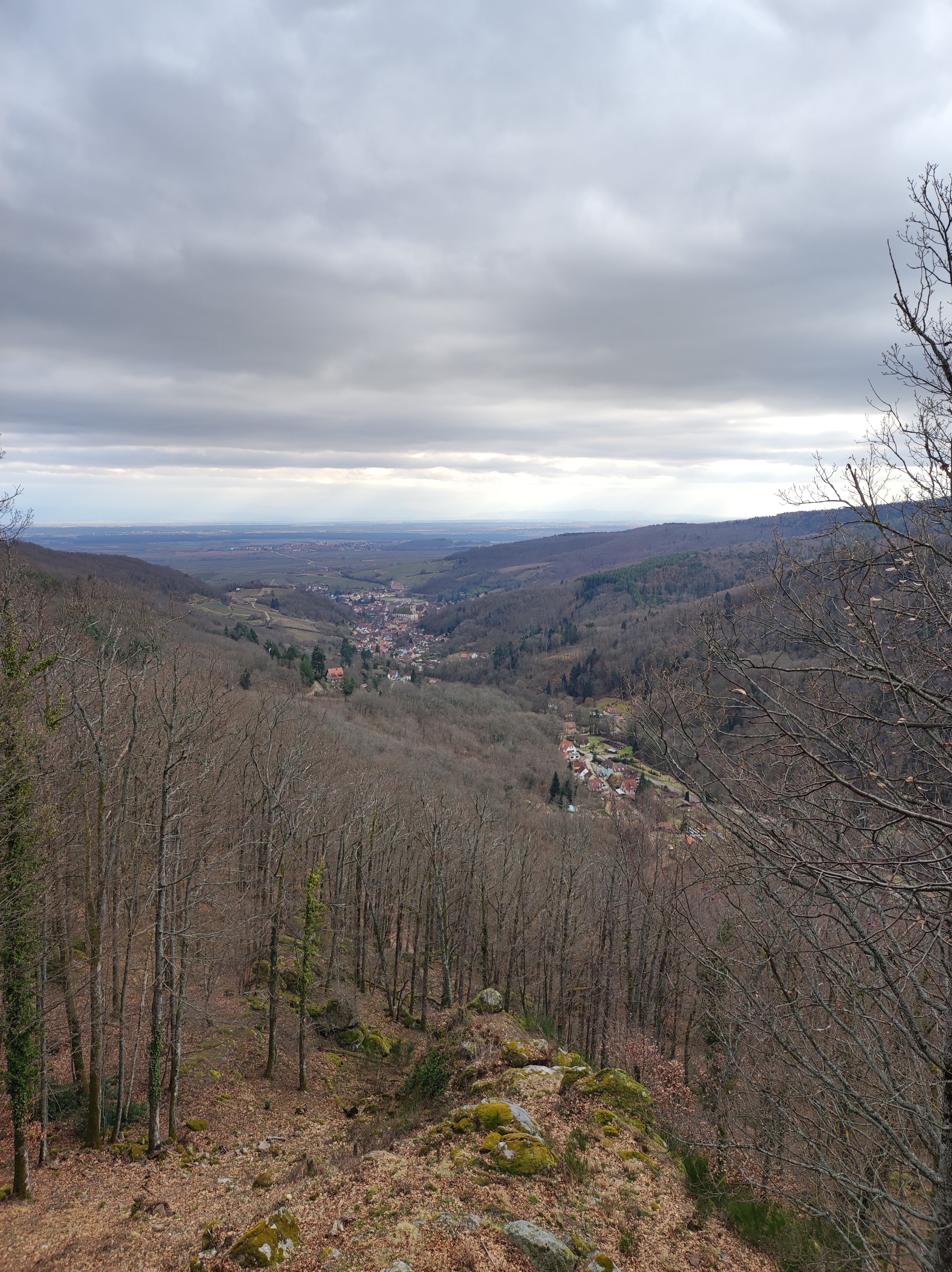 Photo n° 3 de l'avis de Hervé.A fait le 10/02/2022 à 16:12