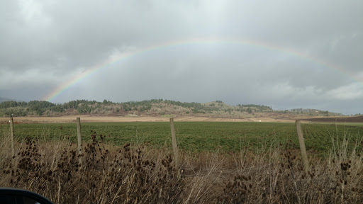 Private Golf Course «Michelbook Country Club», reviews and photos, 1301 NW Michelbook Ln, McMinnville, OR 97128, USA