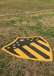 Campo de Deportes Ireneo A. Brito, Club A. Peñarol - N. Palmira