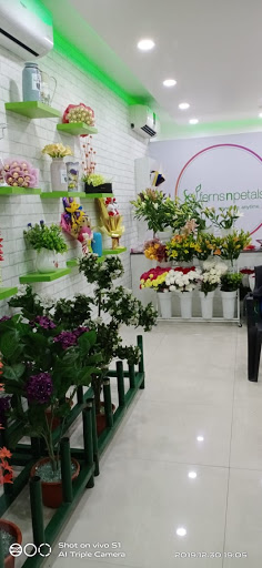 Ferns N Petals Flower Shop In Aundh Pune